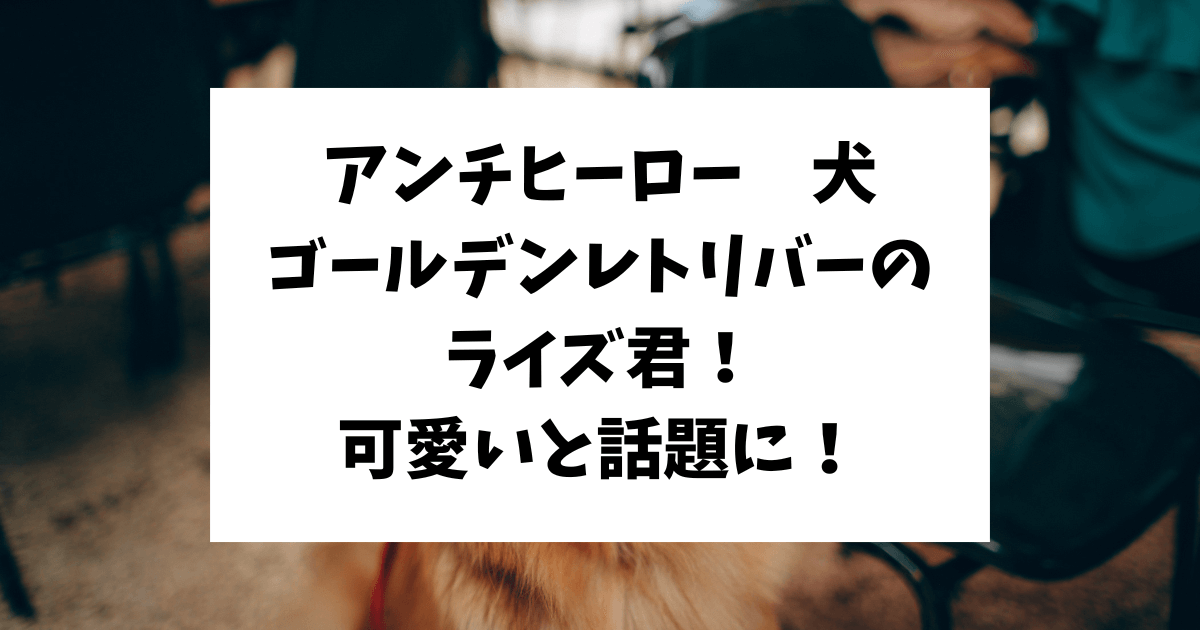 アンチヒーロー　犬　ゴールデンレトリバー