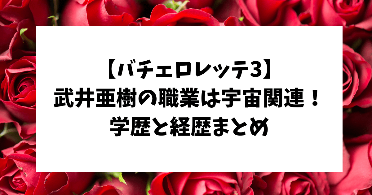 武井亜樹 職業 学歴 経歴 バチェロレッテ3