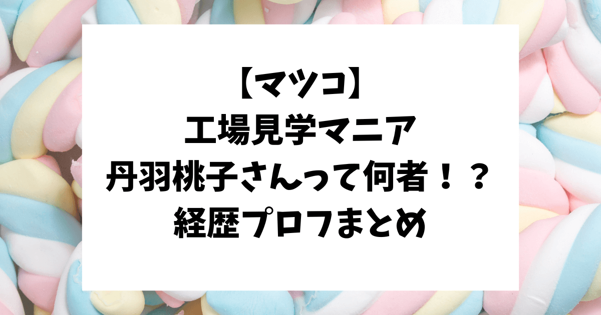 マツコの知らない世界　工場見学　丹羽桃子