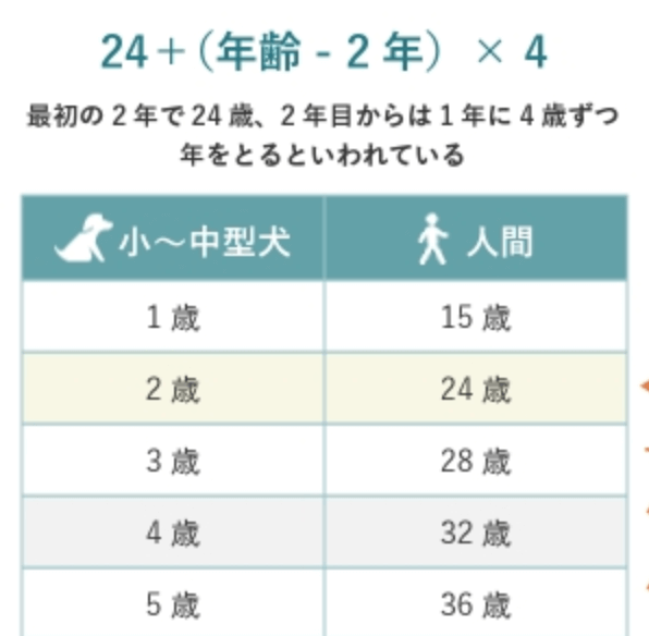 デコピン　性別　年齢